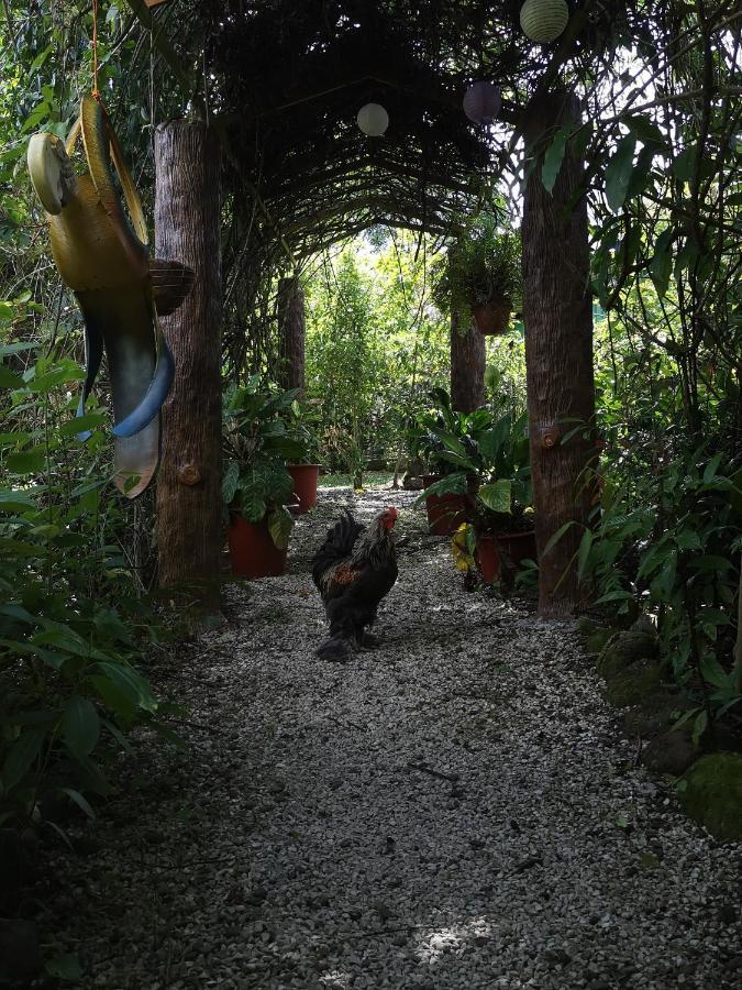 Hotel Roca Negra Del Arenal La Fortuna Exteriér fotografie