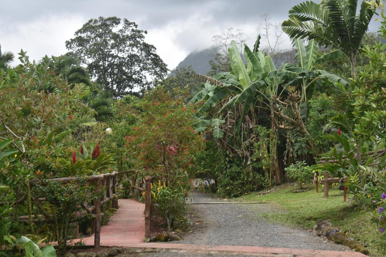 Hotel Roca Negra Del Arenal La Fortuna Exteriér fotografie